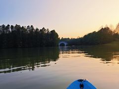 -上海海湾国家森林公园