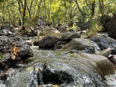 -云岫谷游猎自然风景区