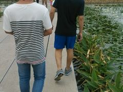 android_upload_pic-红莲湖