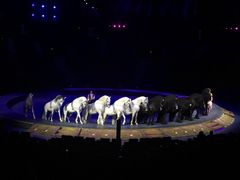 -珠海横琴长隆《卡卡虎奇遇记》