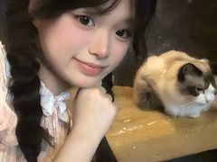 -猫猫幼稚园·撸猫·桌游·电玩