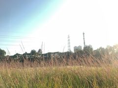 -清湖文化公园
