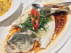 -至潮餐厅精致粤菜·活鲈鱼·走地鸡(珠江新城店)