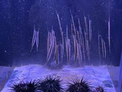 -邯郸海洋世界