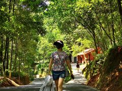 -神光山国家森林公园