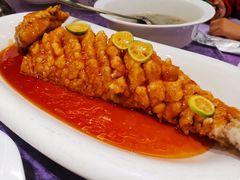 -老长春肉馆(创业大街店)