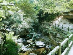 -少华山国家森林公园