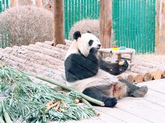 -大连森林动物园