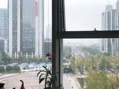 -百林公园-两江幸福广场