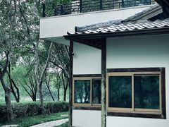 -长广溪湿地公园