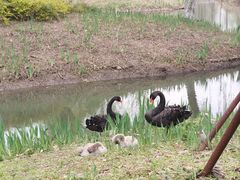 -西山漾湿地公园