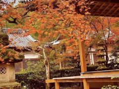 -常寂光寺