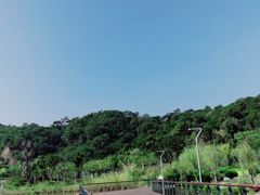 -飞凤山奥体公园