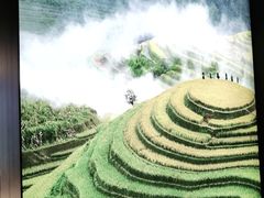 -湘邻呷铺·田园家宴(汉基广场店)