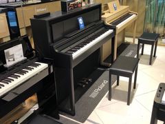 -柏斯琴行(汾阳店)