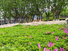 -白塘生态植物园
