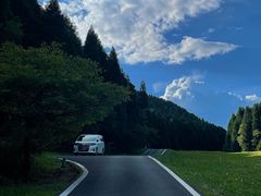 -武陵山森林公园