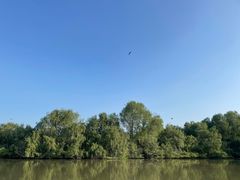 -大湾区中央湿地公园