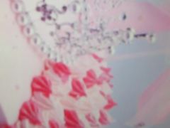 -楠舍烘焙(大学城店)