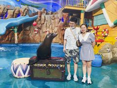 -烟台海昌鲸鲨海洋公园