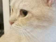 -平行世界·猫咖(首经贸店)
