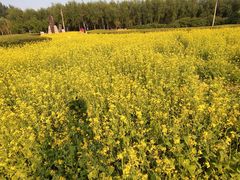 -长春公园(普阳街道)