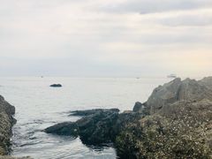 -养马岛旅游度假区