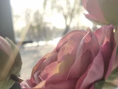 -卫鼎轩·家宴(水上公园店)