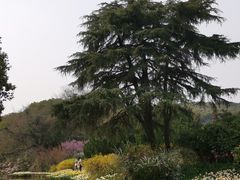 -无锡梅园公园