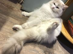 -小时光咖啡馆(开森度假森林店)