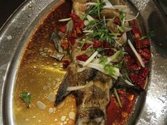 -浩家苑菜馆(汉口路店)