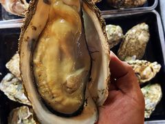 -土蚝·高压锅生蚝(百姓美食街店)