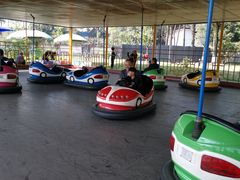 -成飞公园