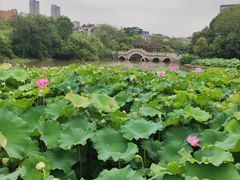 -金山公园
