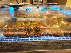 -博林天瑞喜来登酒店·西丽尚膳