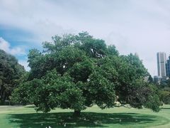 -悉尼歌剧院