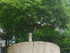 -长沙滨江文化园