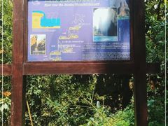 -雁荡山三折瀑景区