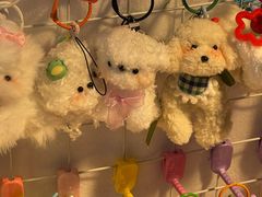 -西安电影制片厂