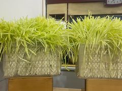 -尤素福东举院饺子馆