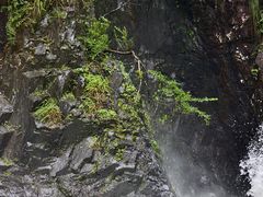 -五泄景区