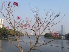 -南宁南湖公园