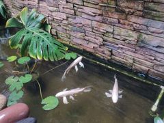 -兰纳泰式spa(古城店)