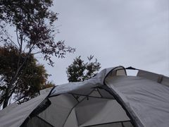 -绍兴镜湖国家城市湿地公园