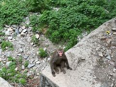 -北京上方山国家森林公园