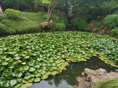 -上海醉白池公园
