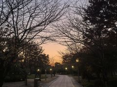 -尚贤河湿地