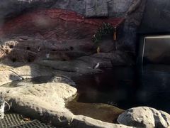 -凯莉-塔尔敦海洋生物水族馆