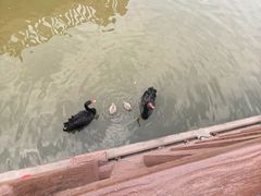 -无锡动物园·太湖欢乐园