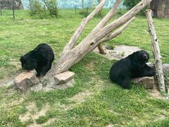 -无锡动物园·太湖欢乐园